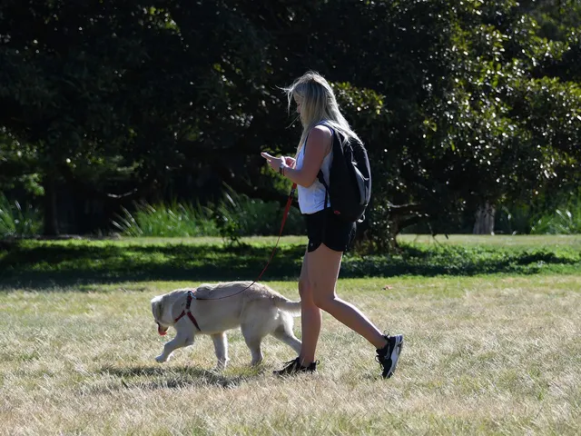 A woman walking her dog in a park